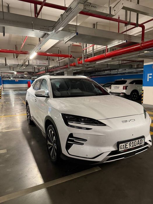 BYD Champion song plus