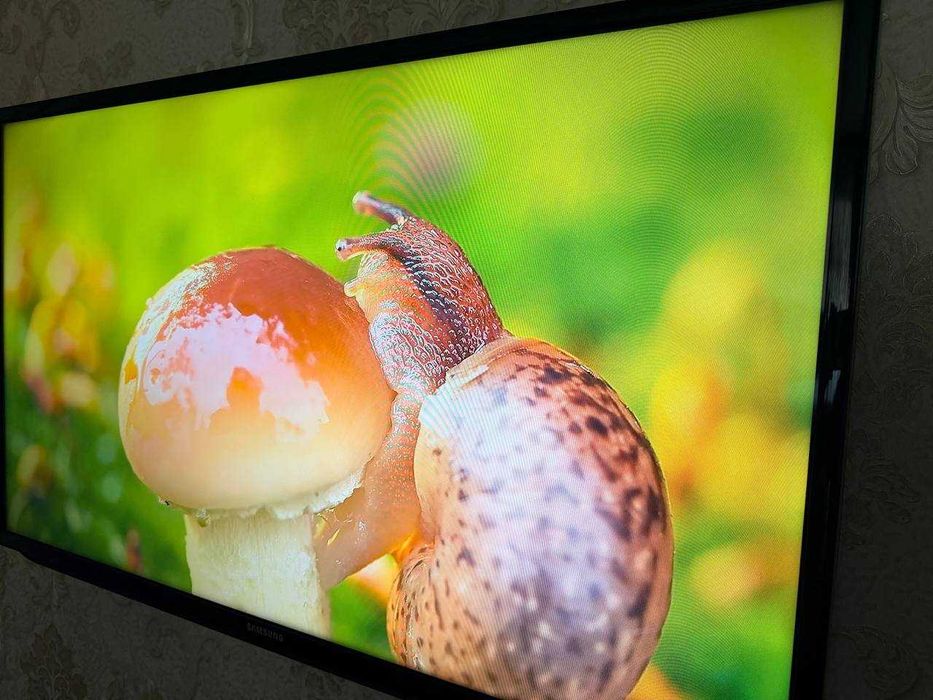 Televizor Samsung, 43 + Xiaomi box S