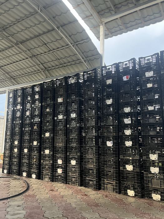 Продам ящики. От тульпанов