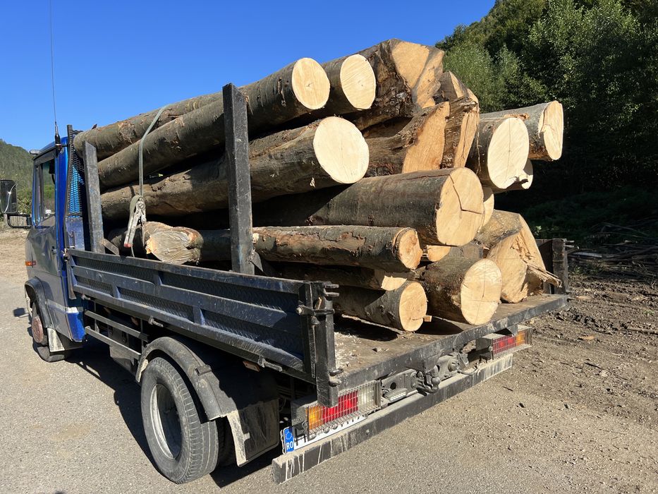 Lemn  LA 3m SAU BOCI