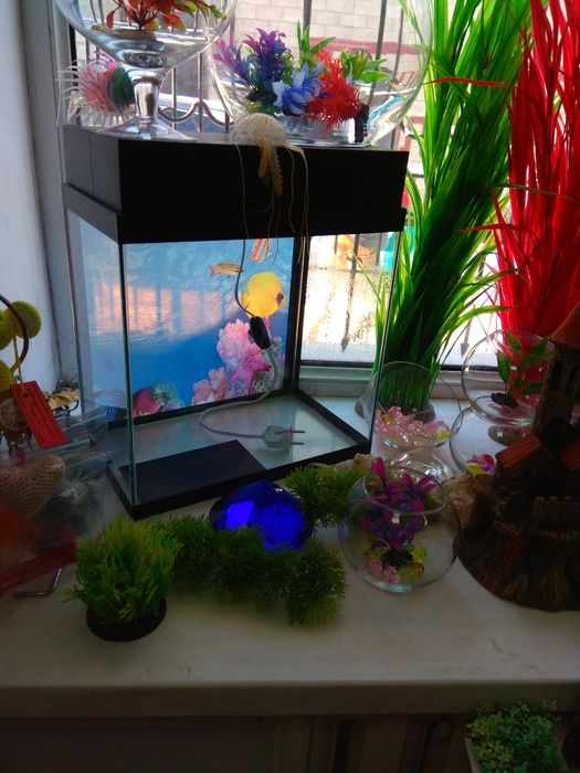 Аквариум.Навои Фрунзе