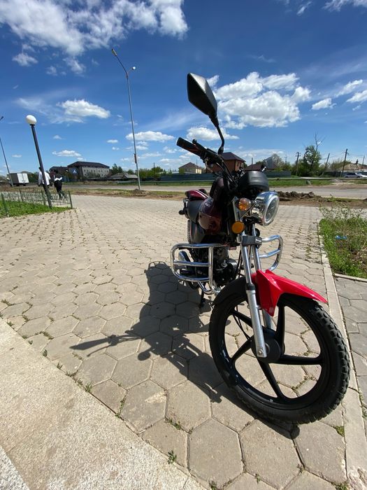 Peda Shark 125кубов