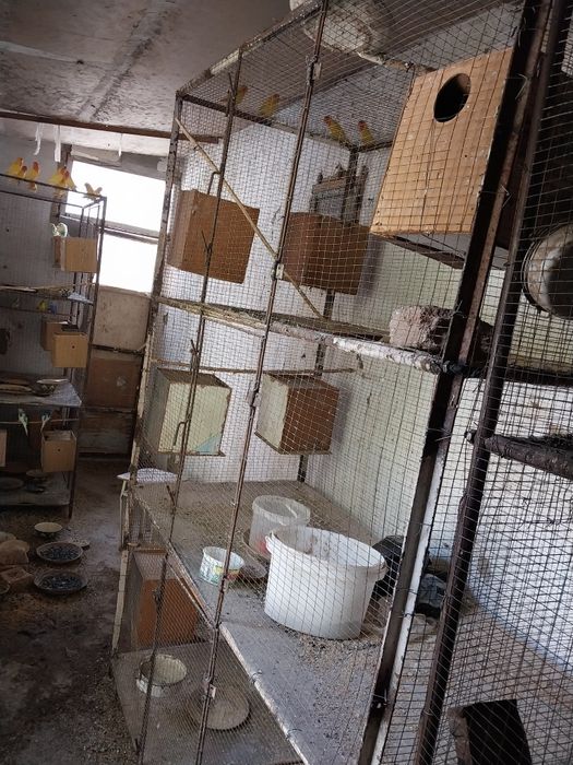 Папугайлар учун клетка