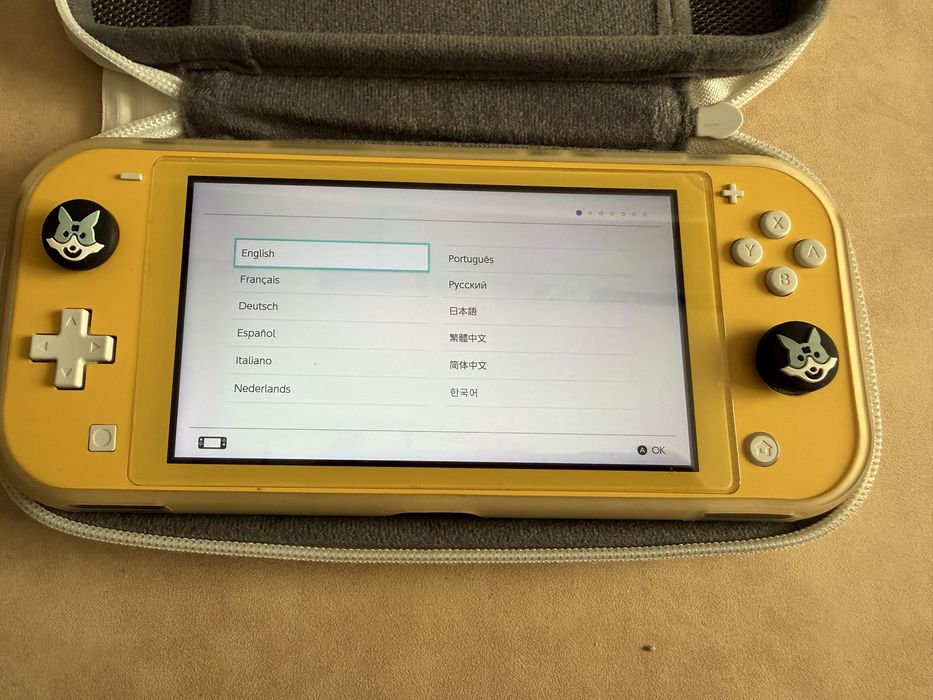 Nintendo switch lite
