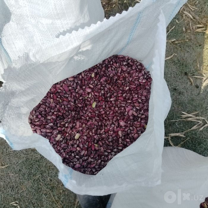 Фасал чикариш апарат