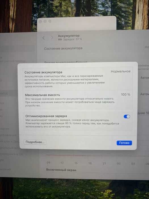 Apple MacBook M4 Pro 16 24 Гб SSD 512 Гб 100%