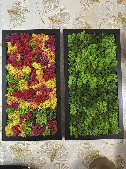 Картини със скандинавски мъх