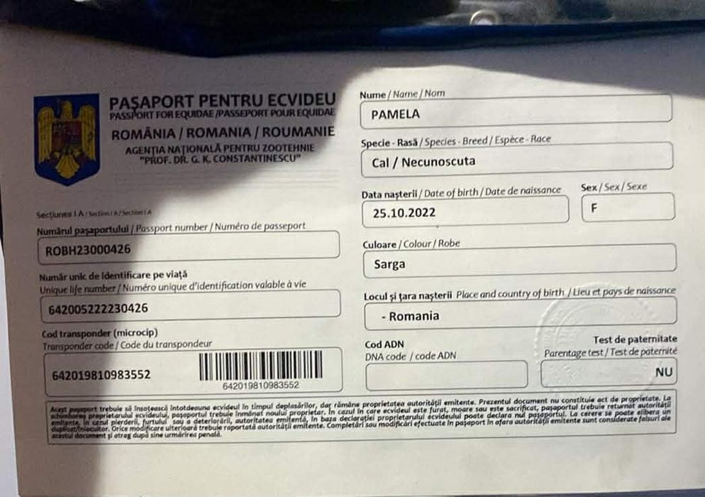 Vand iapa cu manza !