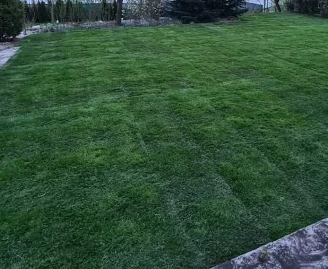 Gazon Rulou Sisteme de Irigare