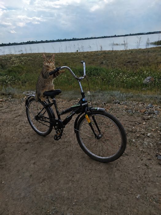 Срочно продам!!!