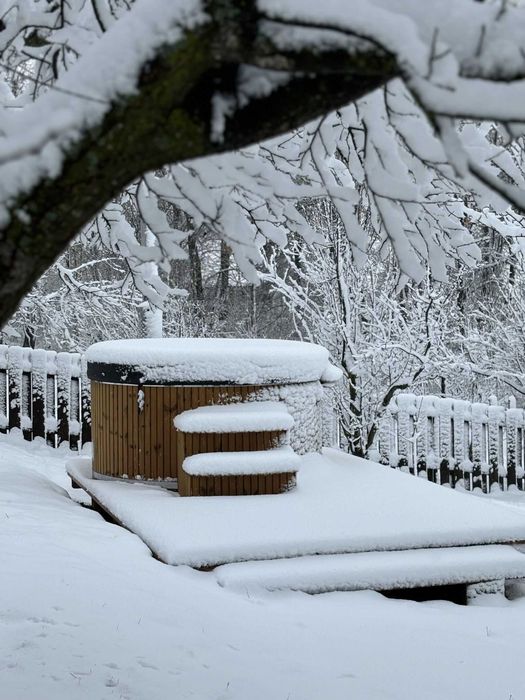 Pensiunea Emelys /Vila/ Cabana integral petreceri, majorate evenimente