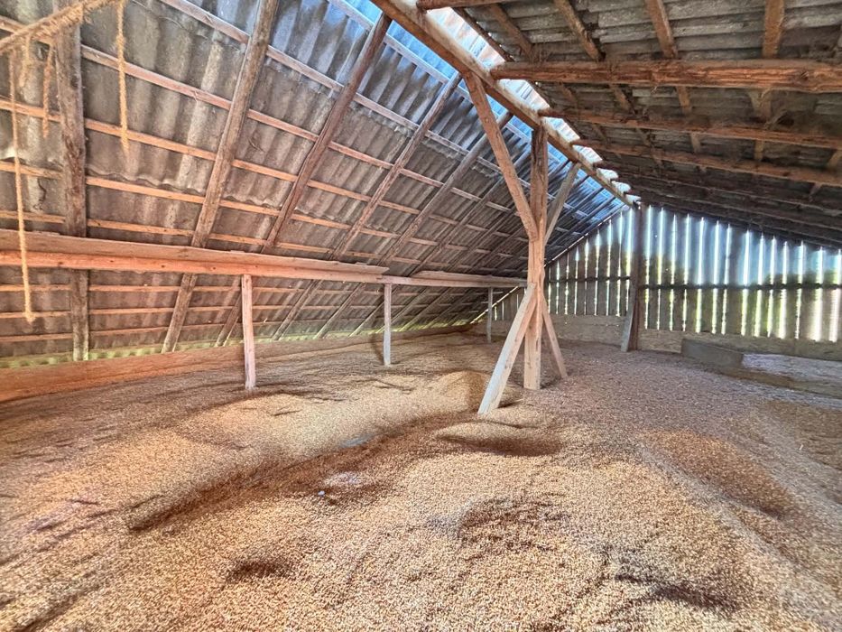 Vând cereale plus lucernă