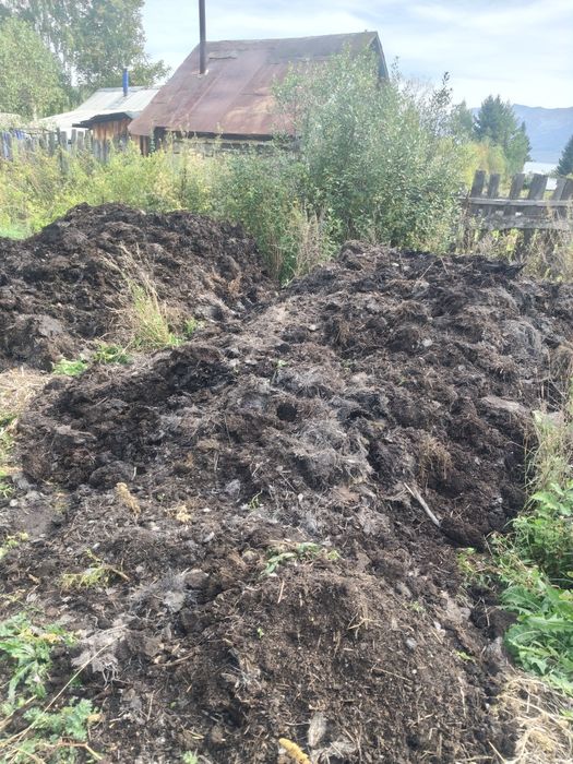Продам перегной!