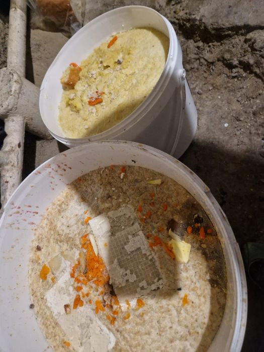 Қатқан нан бар малға .