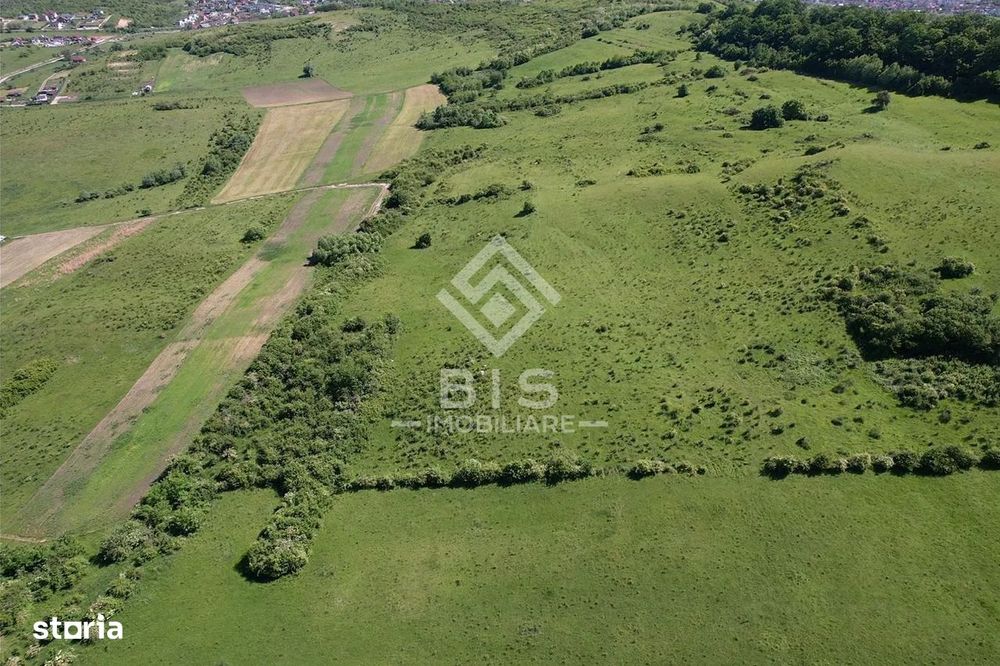 Teren Valea - Stanelor 21.600 mp