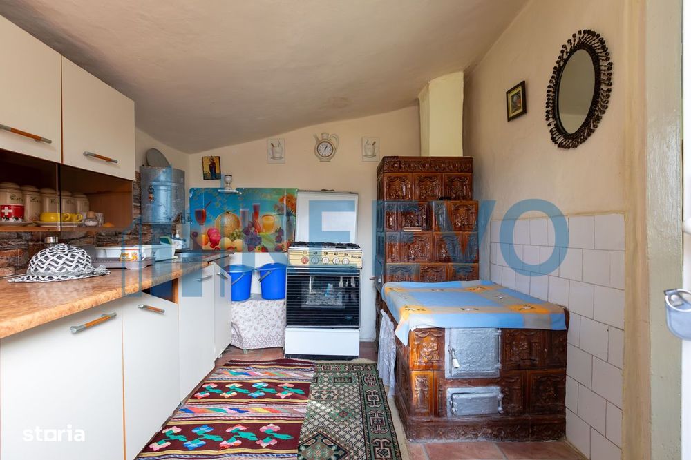 Casa si teren 3365mp Sascut