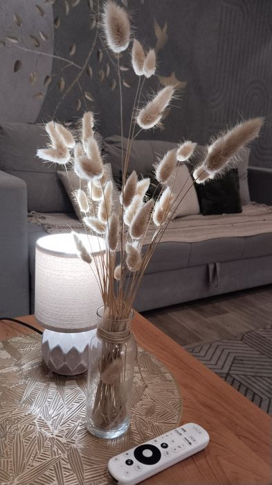 Час, день, ночь, сутки, район Корзины!