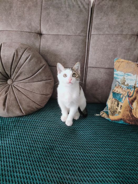 Культурный мальчик