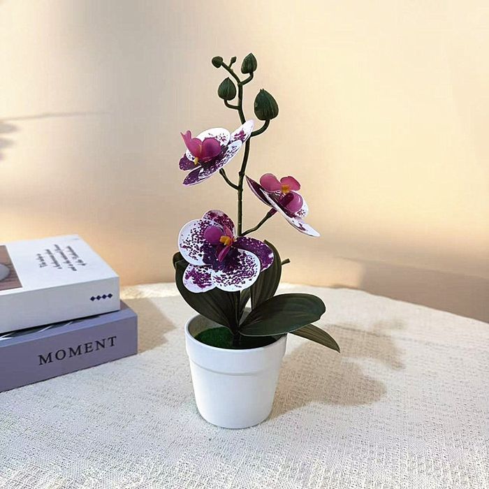 Ayollar uchun sovgʻalar.Arzon narxlarda sovun gul va sun'iy gul mahsul