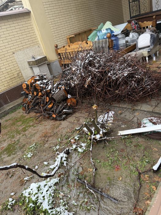 Тандыр учун утин