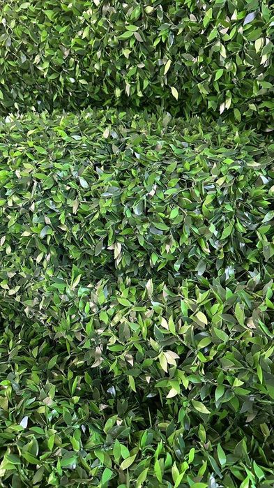 Eco Zabor Забор есо Оптом нарх 78000