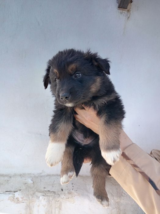 Бесплатно щинки девочки и мальчики