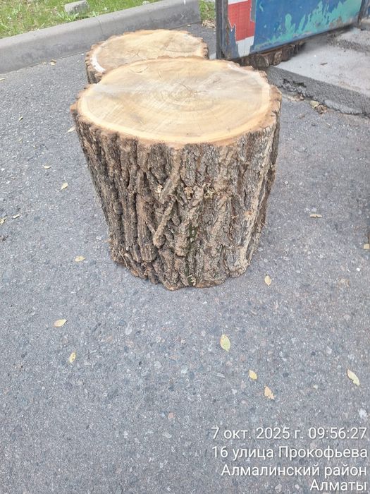 Продам чурбаки и бревна