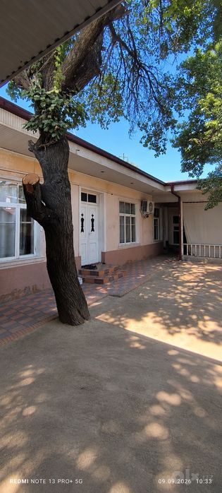 Olmazor tumanida 2.1 sotik hovli