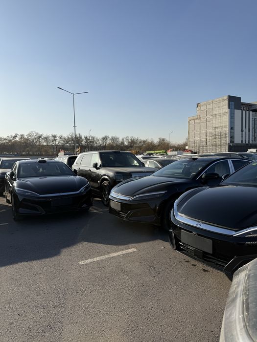 ByD Han L 701 Qora 2025 ND-40