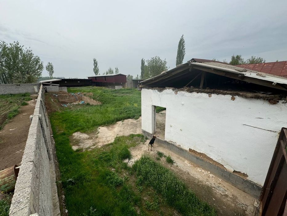 Uchastkalar sotiladi 12 соток и 18 соток