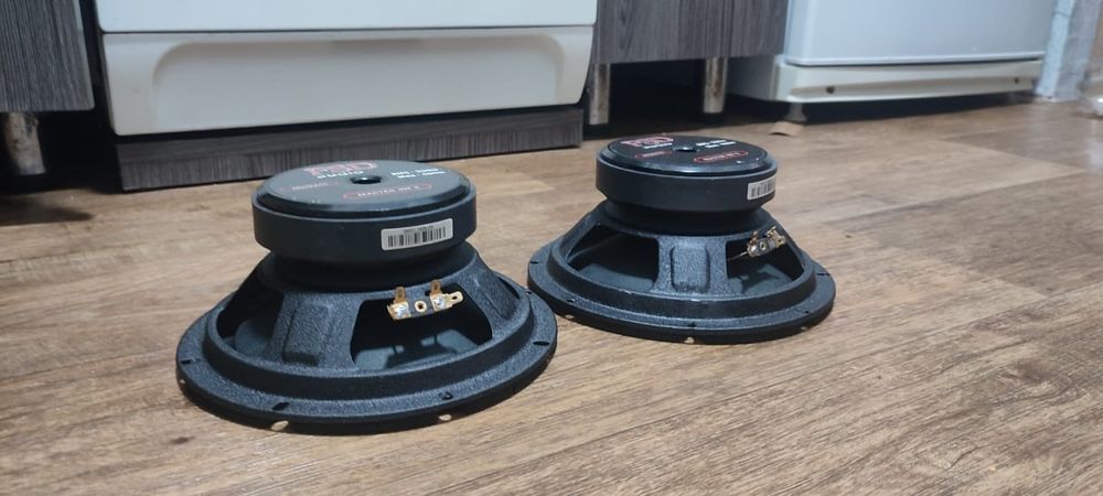 Колонки FSD Master WF8