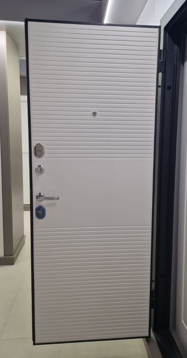 Входные (металлические) двери