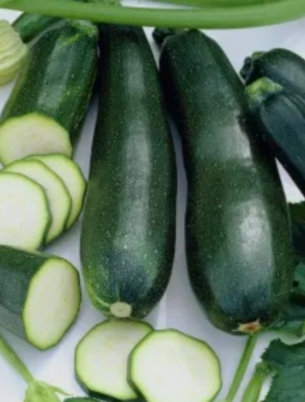 Продам семена кабачки цекуни