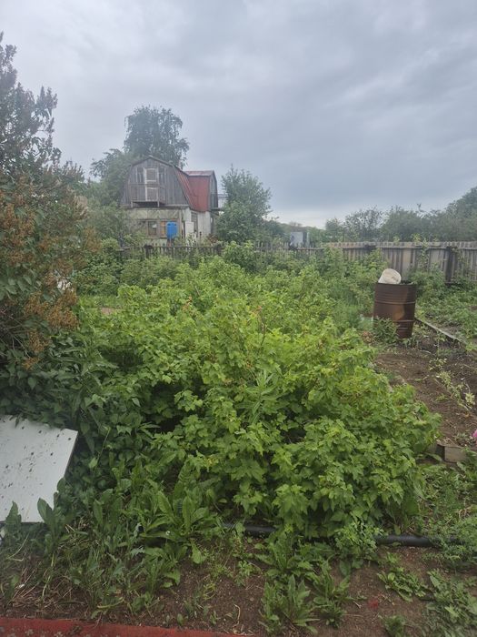 Продам дачу пк каучук в Темнртау.