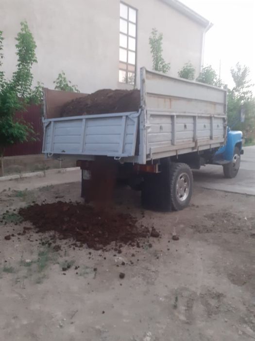 Қызылорда көң бар