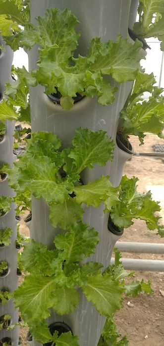 Продаётся теплица