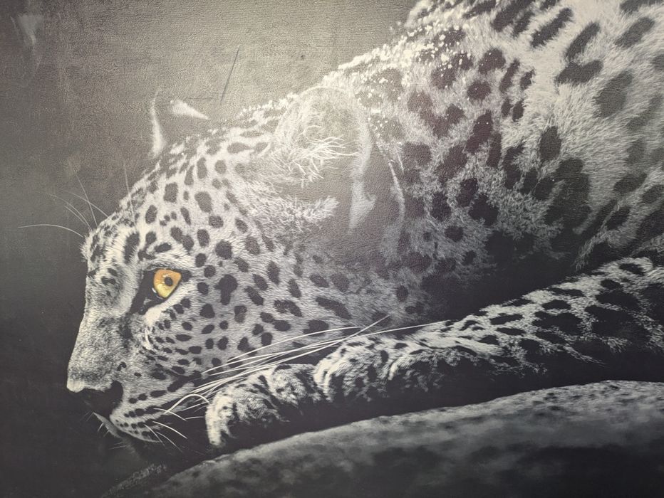 Картина  Ягуар 280×162