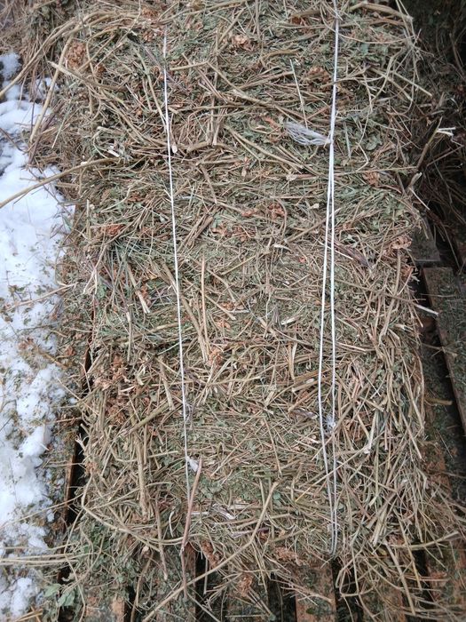 Продам сено разнотравия  солодка в Алматы