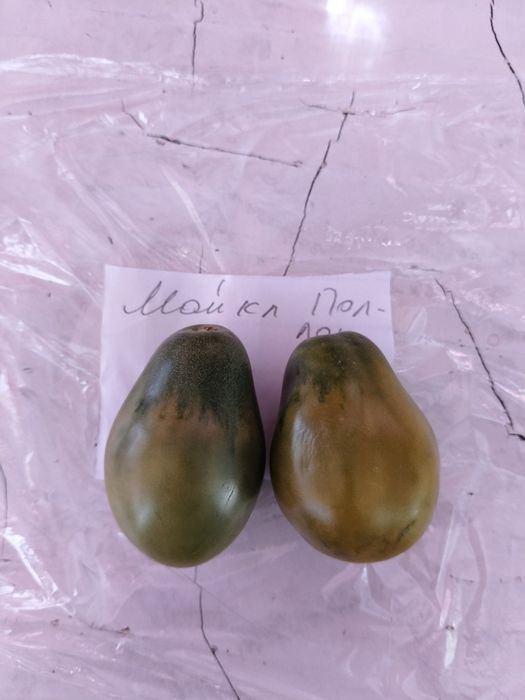 Продам семена томатов