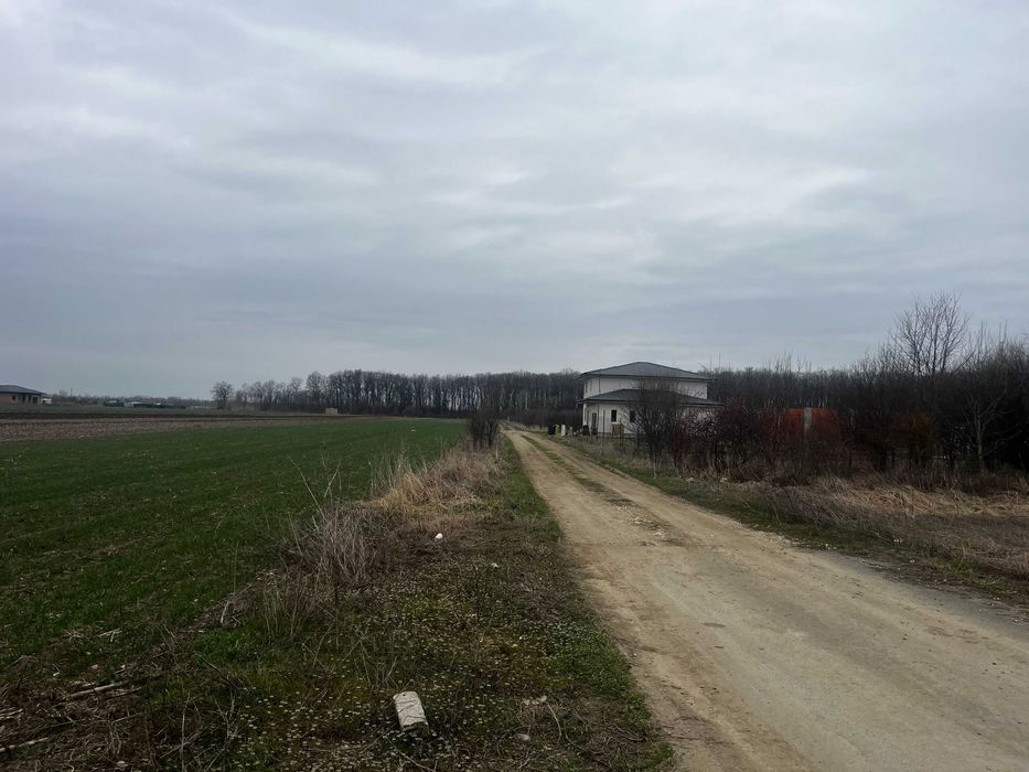 Teren Teghes, strada Caminului