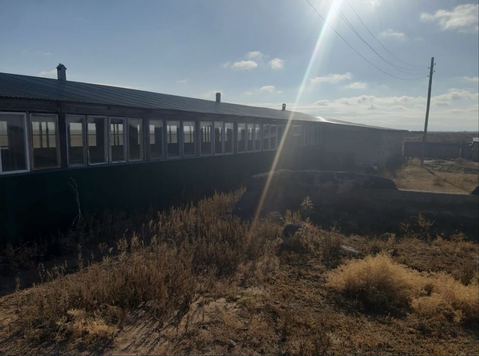 Продам животноводческую базу