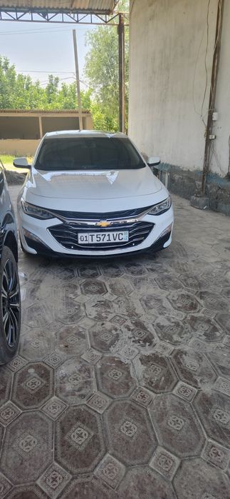 2019 yil 2.4 pirimer qilingan