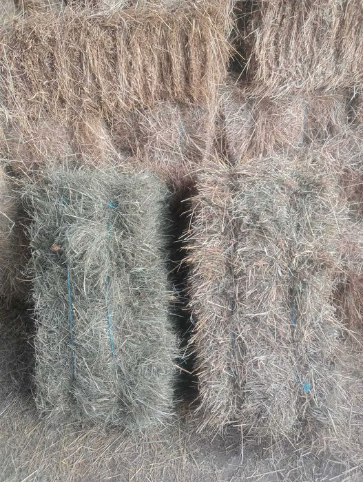 Vand baloti de fan si otava