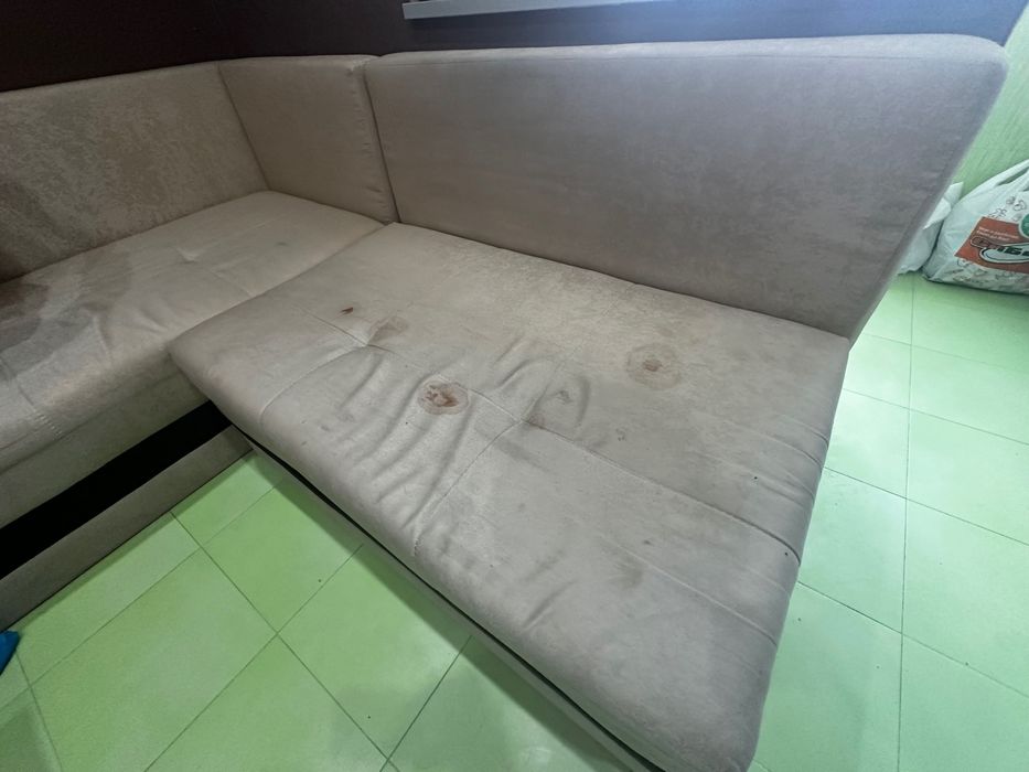 MS Cleaning Професионално почистване на ниски цени.