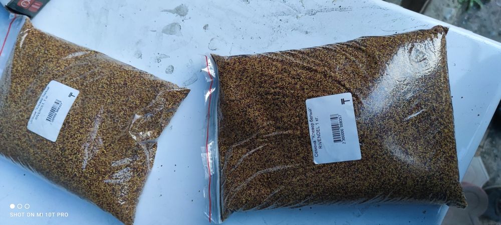 Семена Клевер белый ползучий