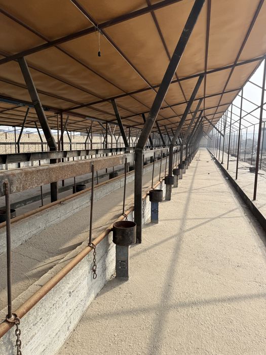 Мол ферма  сотилады 57 сотих келишамиз пулины