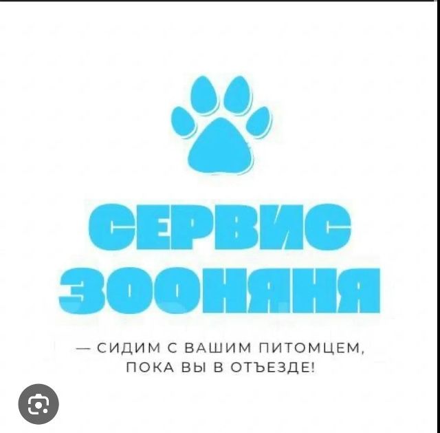 Платная передержка