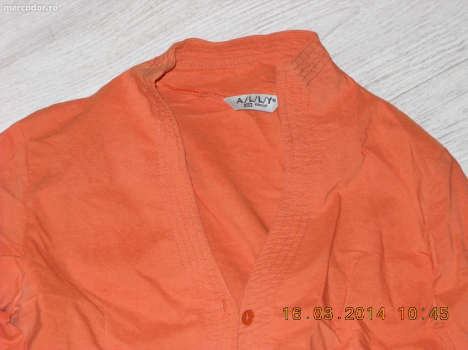 Camasa office caramizie