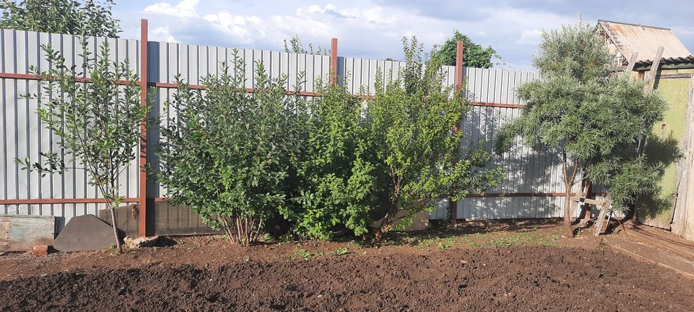 Продам дачный участок 6 соток