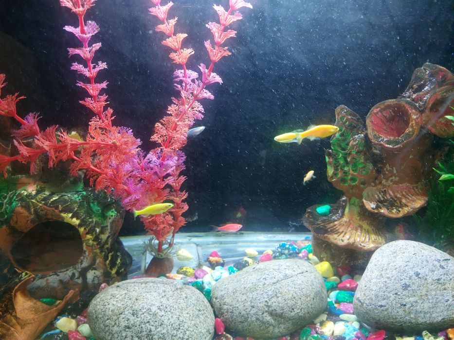 Аквариум комплект